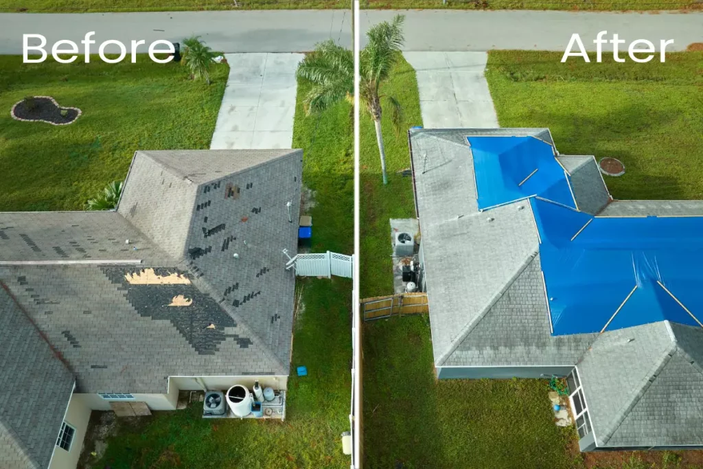 Asphalt Shingles vs. Metal Roofing: Which Is Better?